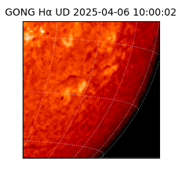 gong - 2025-04-06T10:00:02