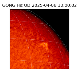 gong - 2025-04-06T10:00:02