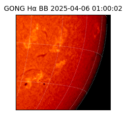 gong - 2025-04-06T01:00:02