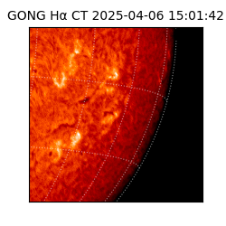 gong - 2025-04-06T15:01:42