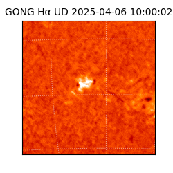 gong - 2025-04-06T10:00:02