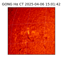 gong - 2025-04-06T15:01:42