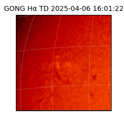gong - 2025-04-06T16:01:22