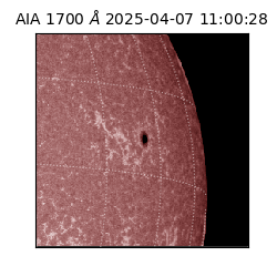 saia - 2025-04-07T11:00:28.718000