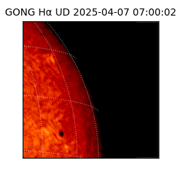 gong - 2025-04-07T07:00:02