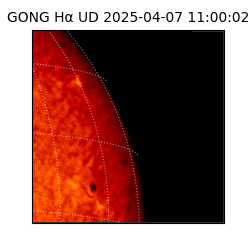 gong - 2025-04-07T11:00:02