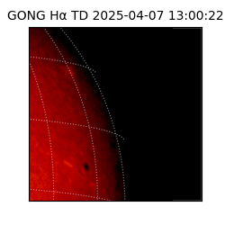 gong - 2025-04-07T13:00:22