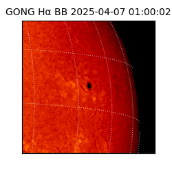gong - 2025-04-07T01:00:02