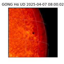 gong - 2025-04-07T08:00:02