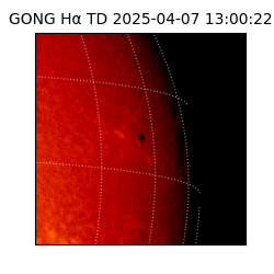 gong - 2025-04-07T13:00:22