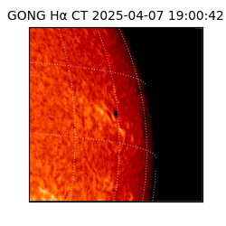 gong - 2025-04-07T19:00:42