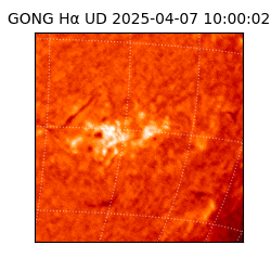 gong - 2025-04-07T10:00:02
