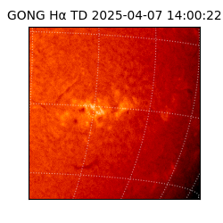 gong - 2025-04-07T14:00:22
