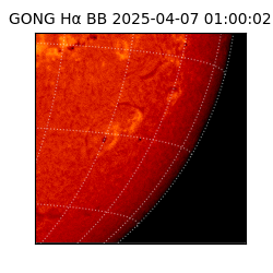 gong - 2025-04-07T01:00:02