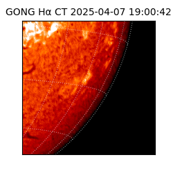 gong - 2025-04-07T19:00:42