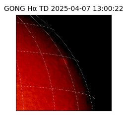 gong - 2025-04-07T13:00:22