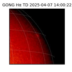gong - 2025-04-07T14:00:22