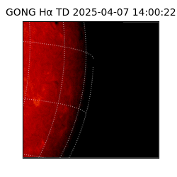 gong - 2025-04-07T14:00:22