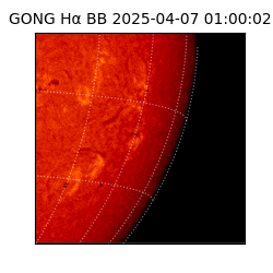 gong - 2025-04-07T01:00:02