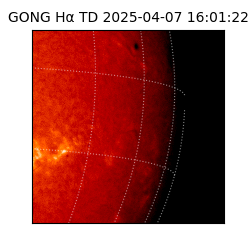 gong - 2025-04-07T16:01:22