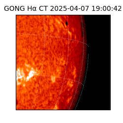 gong - 2025-04-07T19:00:42