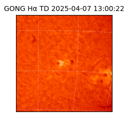 gong - 2025-04-07T13:00:22
