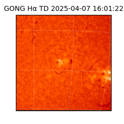 gong - 2025-04-07T16:01:22
