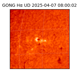 gong - 2025-04-07T08:00:02