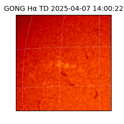 gong - 2025-04-07T14:00:22