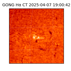 gong - 2025-04-07T19:00:42