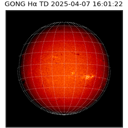 gong - 2025-04-07T16:01:22