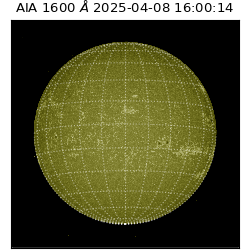 saia - 2025-04-08T16:00:14.125000