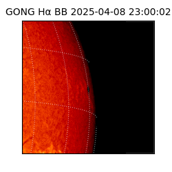 gong - 2025-04-08T23:00:02