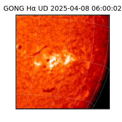 gong - 2025-04-08T06:00:02
