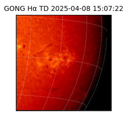 gong - 2025-04-08T15:07:22