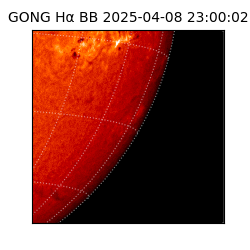 gong - 2025-04-08T23:00:02