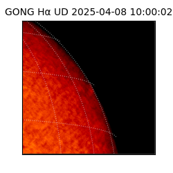 gong - 2025-04-08T10:00:02