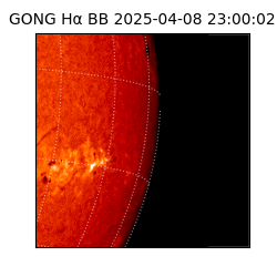 gong - 2025-04-08T23:00:02