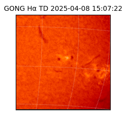 gong - 2025-04-08T15:07:22