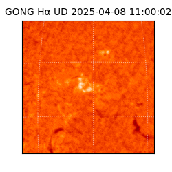 gong - 2025-04-08T11:00:02