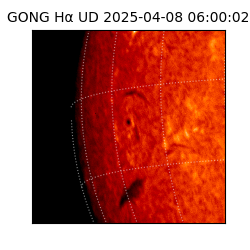 gong - 2025-04-08T06:00:02