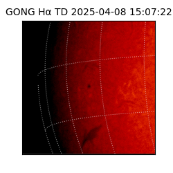 gong - 2025-04-08T15:07:22