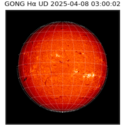 gong - 2025-04-08T03:00:02