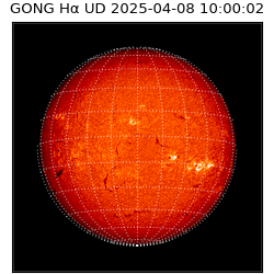 gong - 2025-04-08T10:00:02