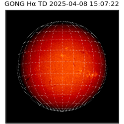 gong - 2025-04-08T15:07:22