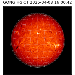 gong - 2025-04-08T16:00:42