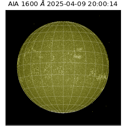 saia - 2025-04-09T20:00:14.126000