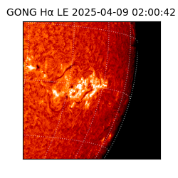 gong - 2025-04-09T02:00:42