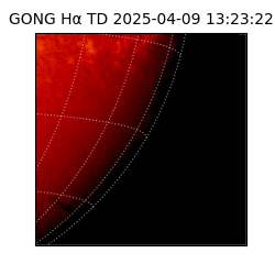 gong - 2025-04-09T13:23:22