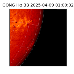 gong - 2025-04-09T01:00:02